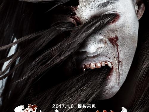 国外学历编号是什么